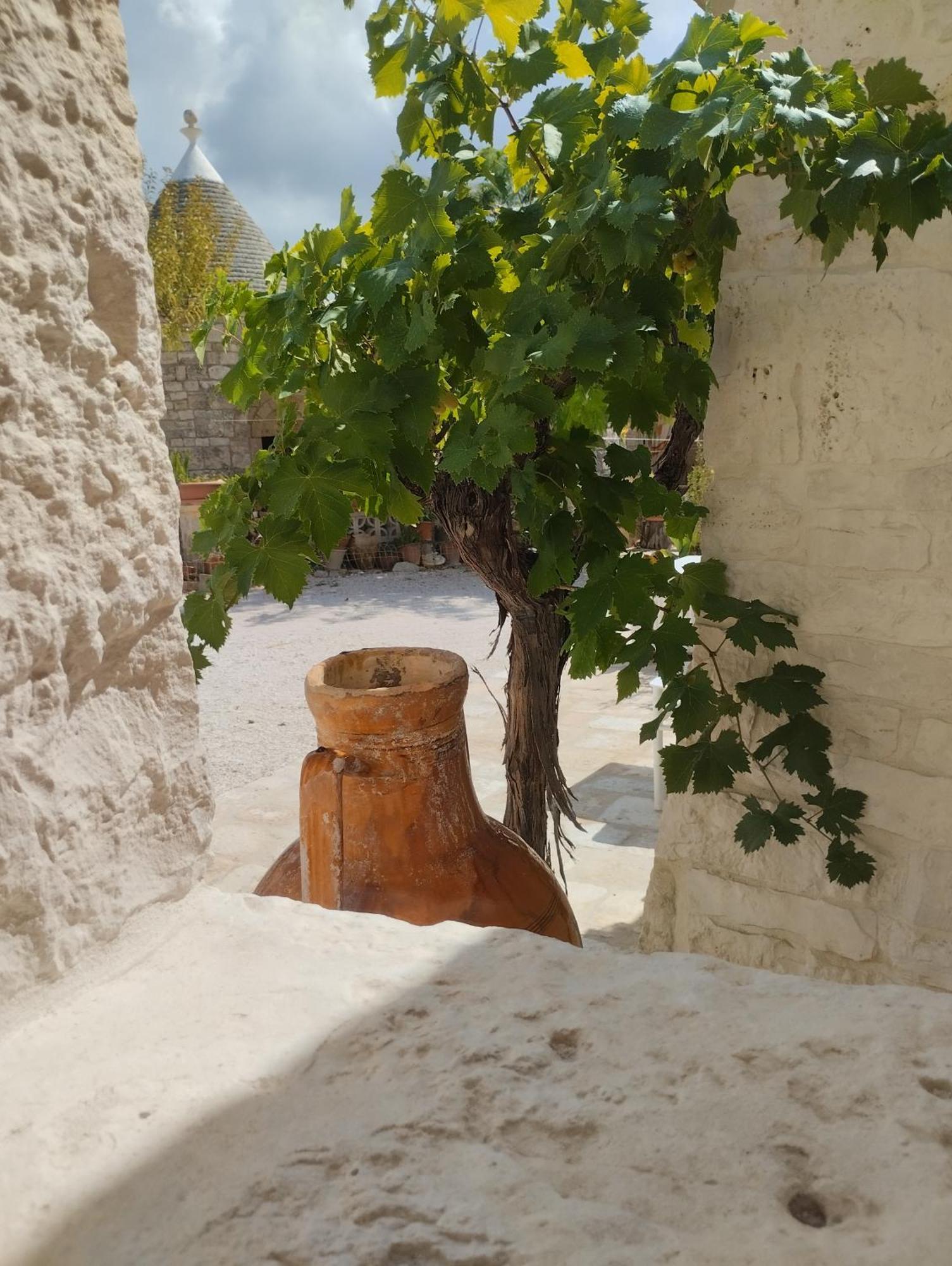 Borgo San Francesco Villa Locorotondo Kültér fotó